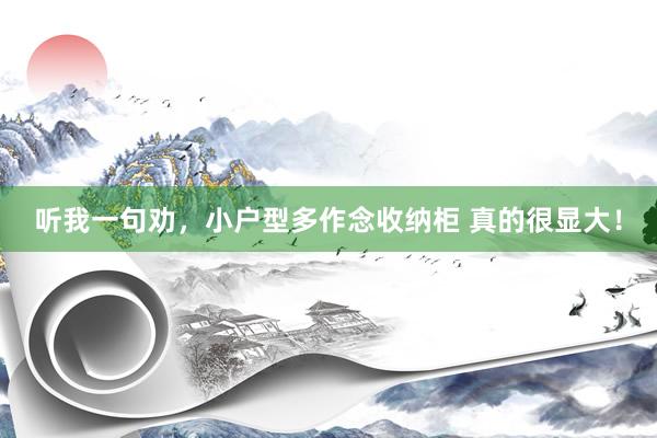 听我一句劝,小户型多作念收纳柜 真的很显大!
