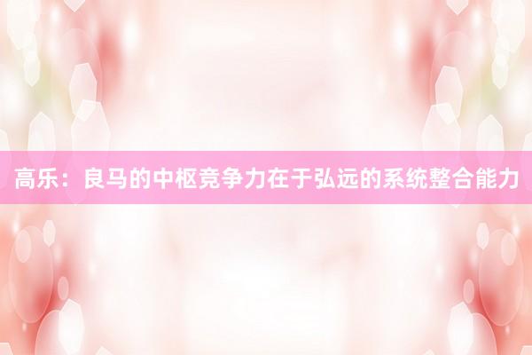 高乐：良马的中枢竞争力在于弘远的系统整合能力