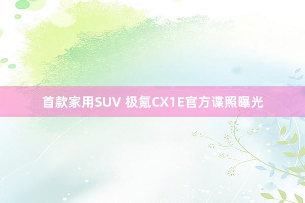 首款家用SUV 极氪CX1E官方谍照曝光