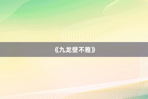 《九龙壁不雅》