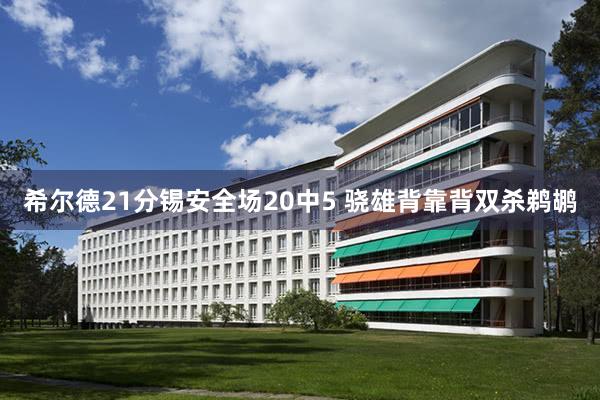 希尔德21分锡安全场20中5 骁雄背靠背双杀鹈鹕