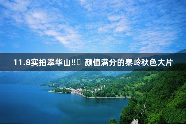 11.8实拍翠华山‼️颜值满分的秦岭秋色大片
