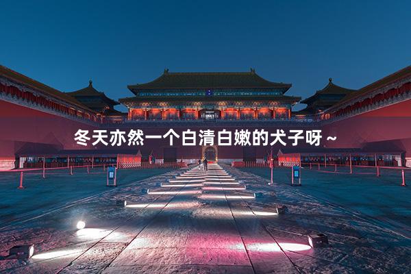 冬天亦然一个白清白嫩的犬子呀～