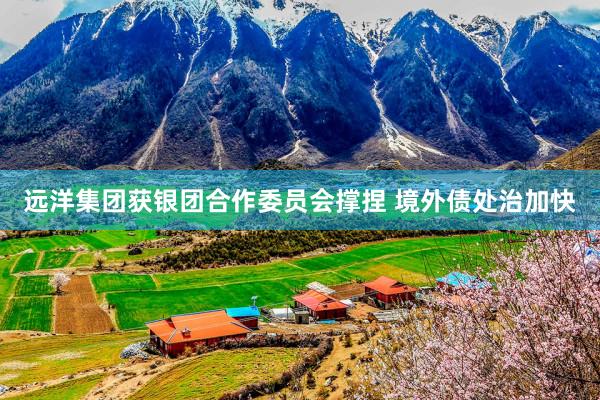 远洋集团获银团合作委员会撑捏 境外债处治加快