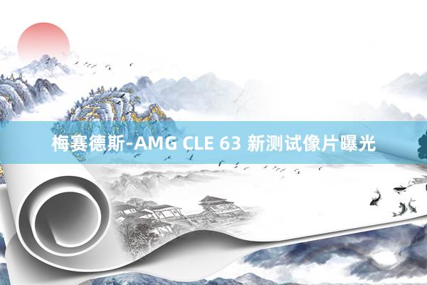 梅赛德斯-AMG CLE 63 新测试像片曝光