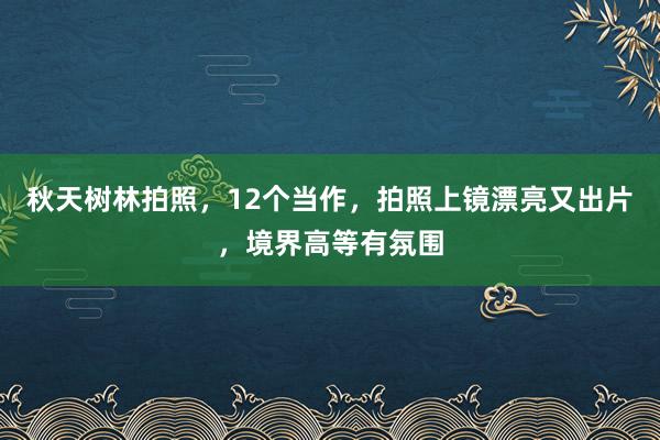 秋天树林拍照，12个当作，拍照上镜漂亮又出片，境界高等有氛围